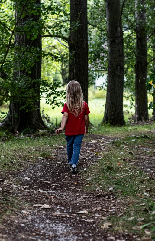 a  in a red shirt walks away in a wooded area