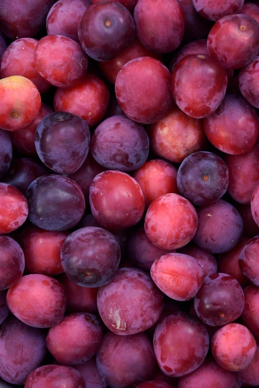 a closeup po of plums with purple colors