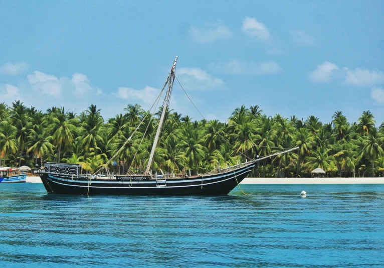 a wooden boat out on the ocean with palm trees in the background