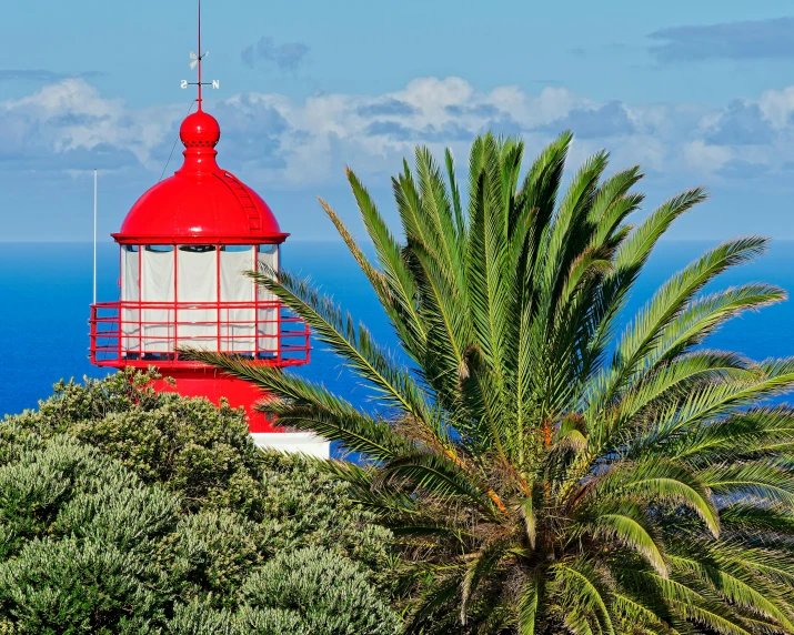 a red and white light house near the ocean