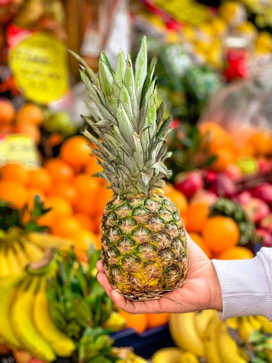 a pineapple sitting in the palm of someones hand