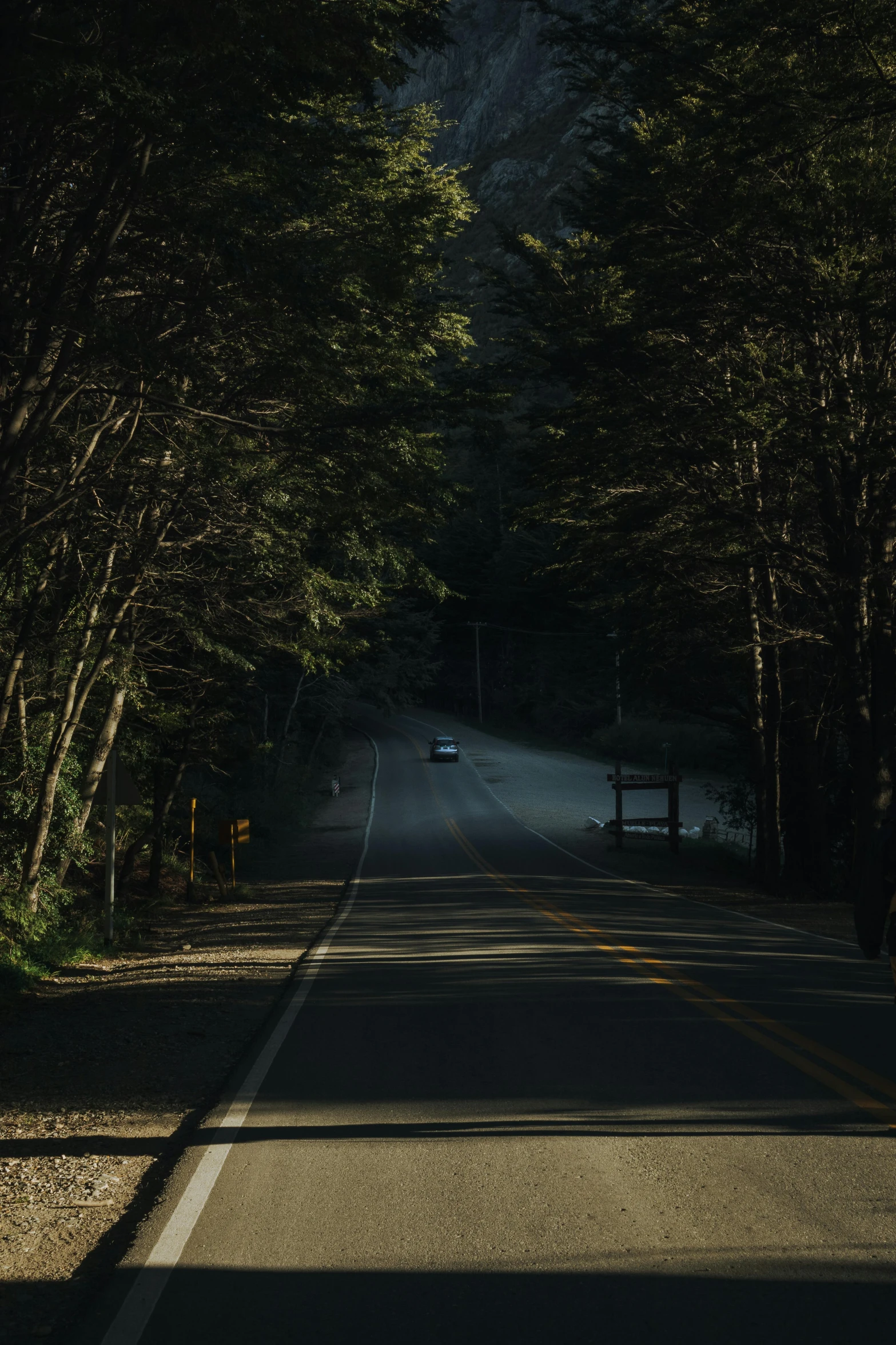 a picture from the car looking down a wooded road