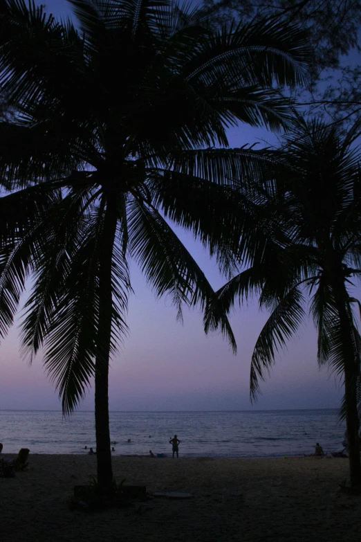 a group of people standing on a beach under palm trees