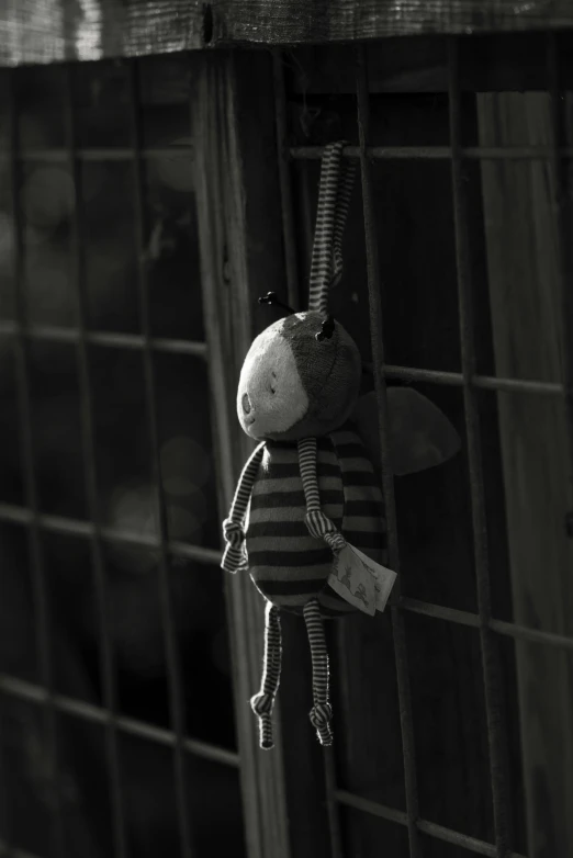 an image of stuffed animal in  cell