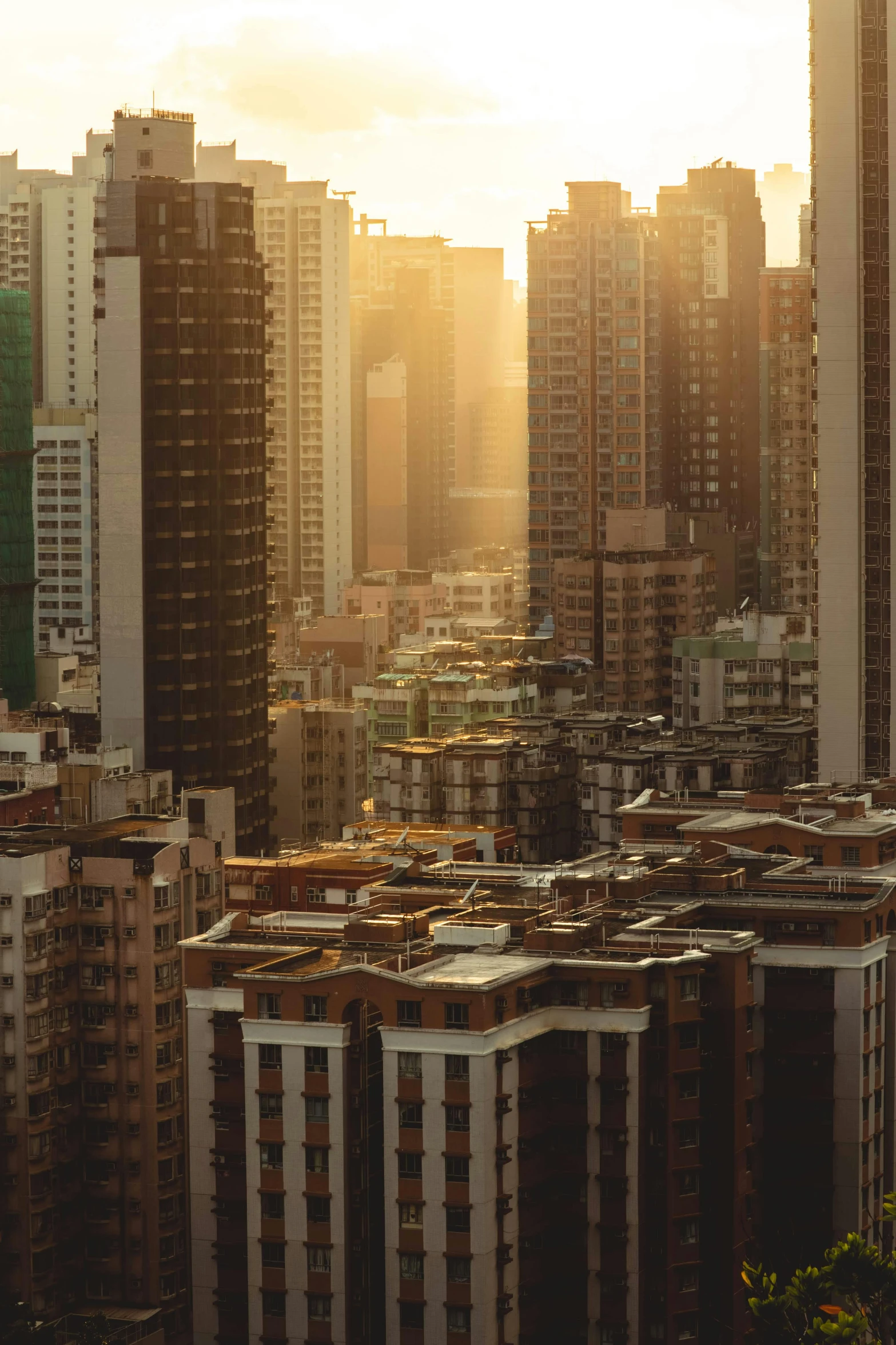 tall buildings that are standing in the sunset