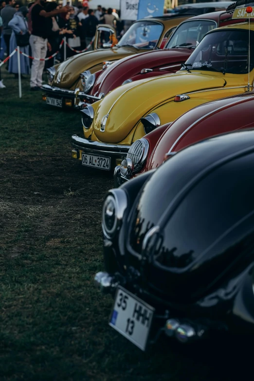 a row of old time cars in a grass area