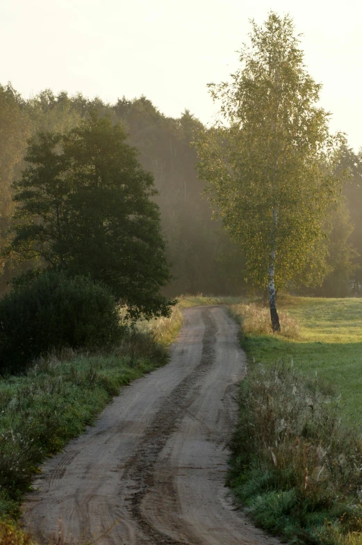 a rural dirt road through an open field