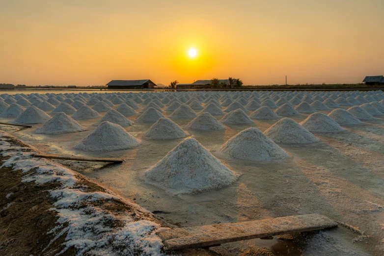 snow covers grass as the sun sets