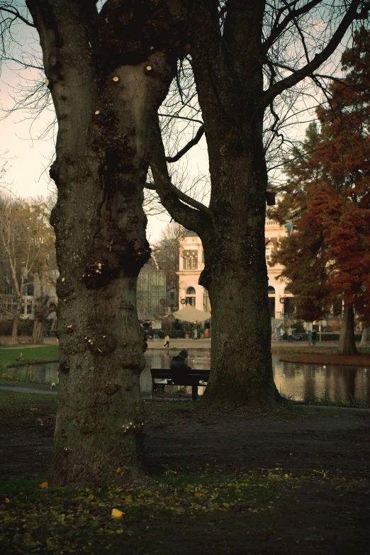 an image of park setting with a bench near water