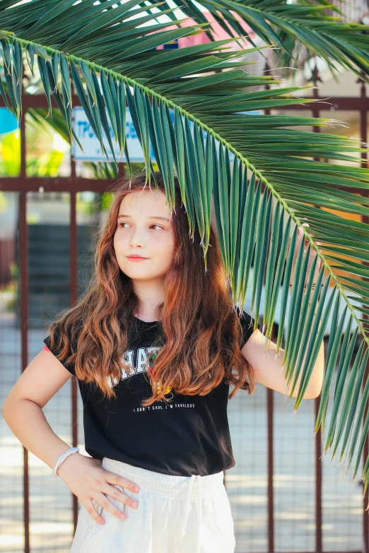 a  standing under a palm tree