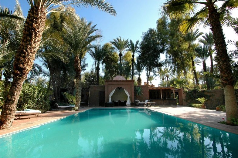 a swimming pool surrounded by palm trees and other greenery