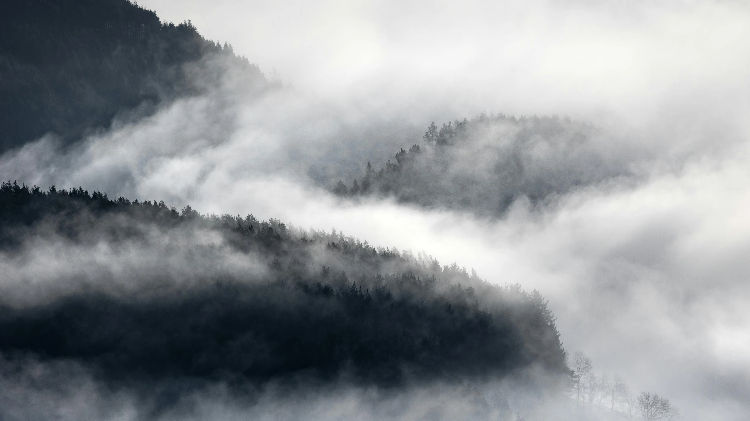 a mountain landscape is covered with fog and trees