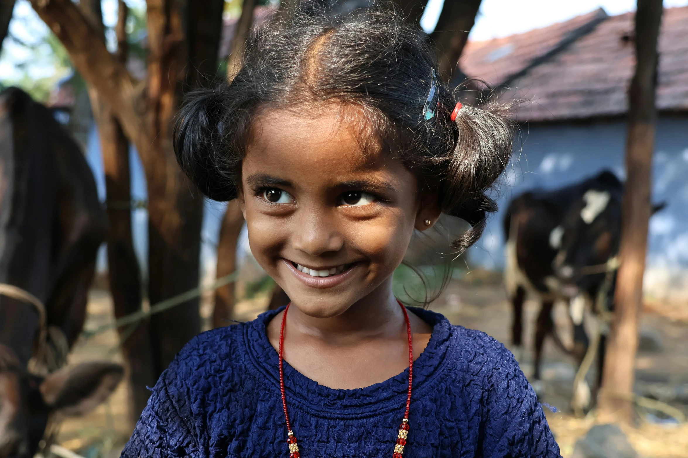 a little girl standing in front of a cow with some beads around her neck