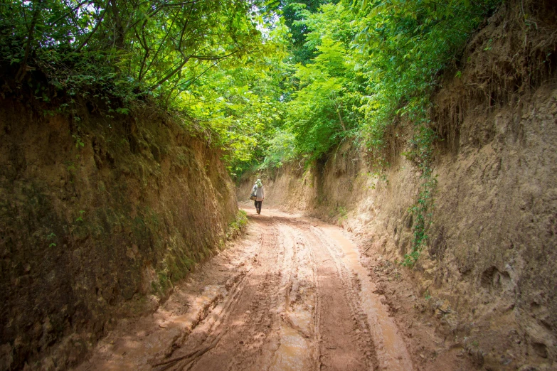 the man is walking on the dirt road