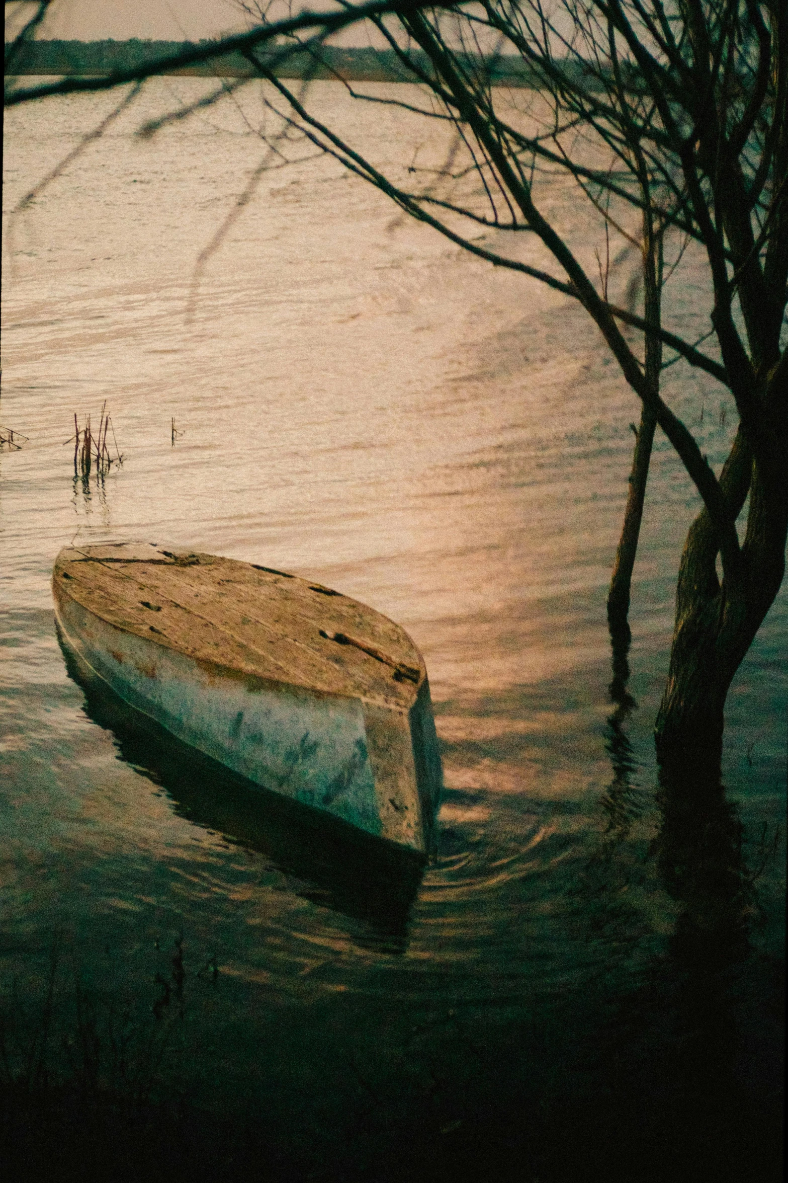 a boat is sitting in the water next to trees