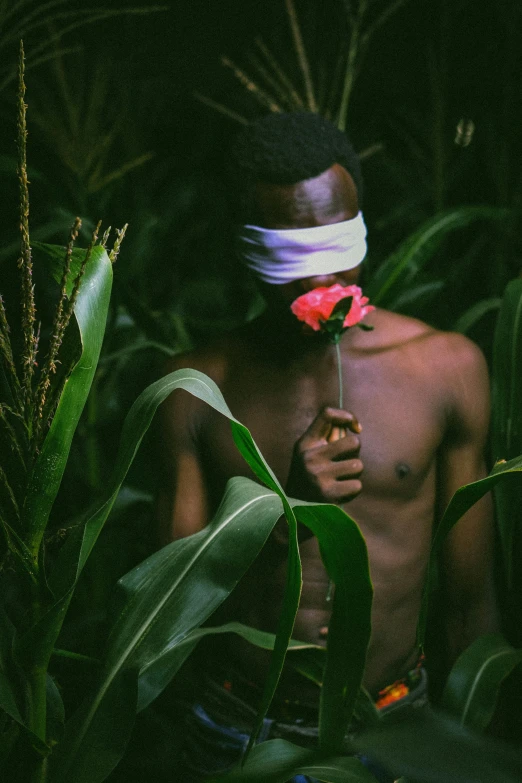 an image of a man standing in front of some bushes