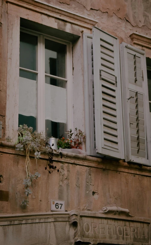 the side of an old building has some plants growing on it