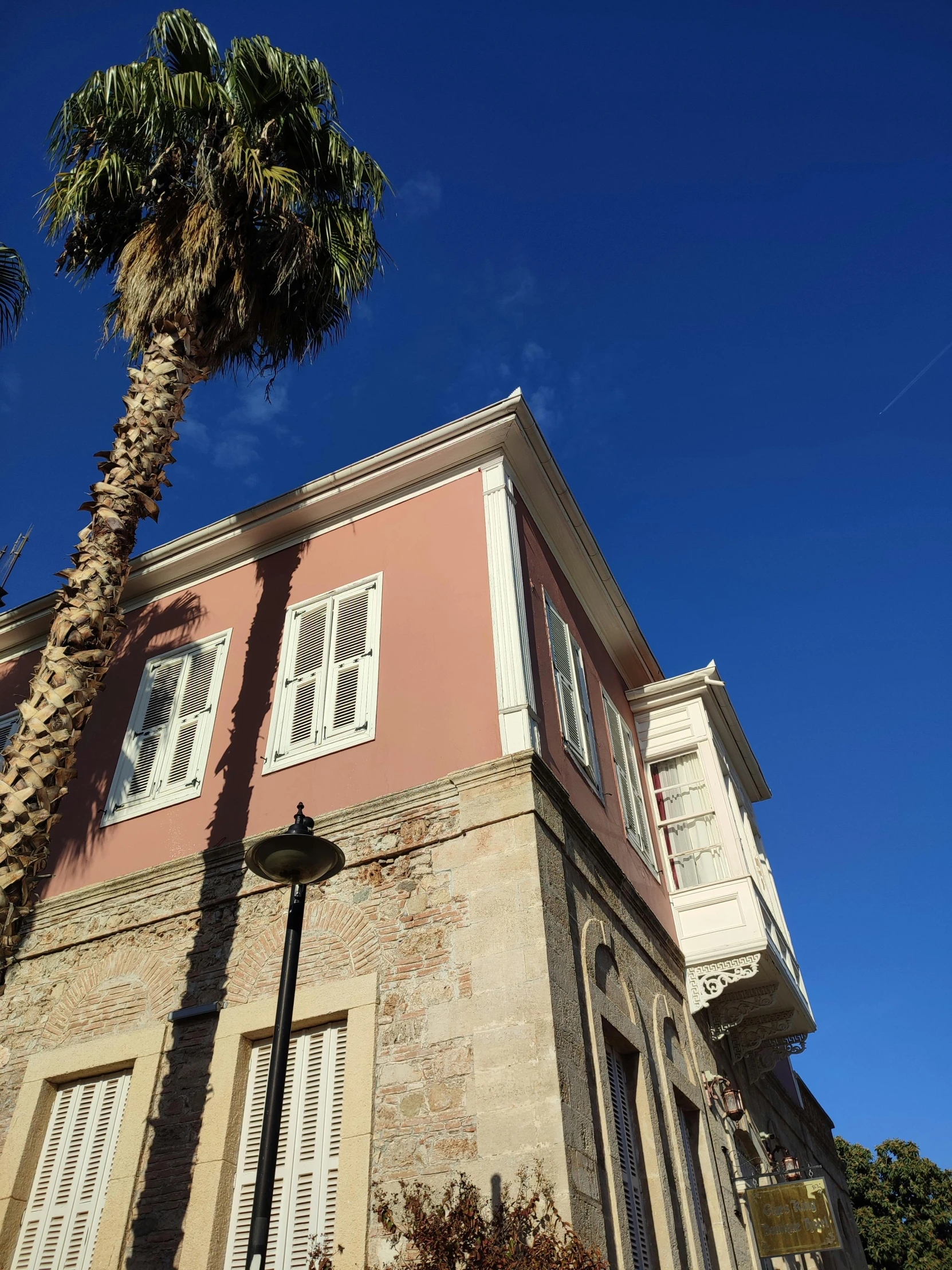 a palm tree is growing near the building