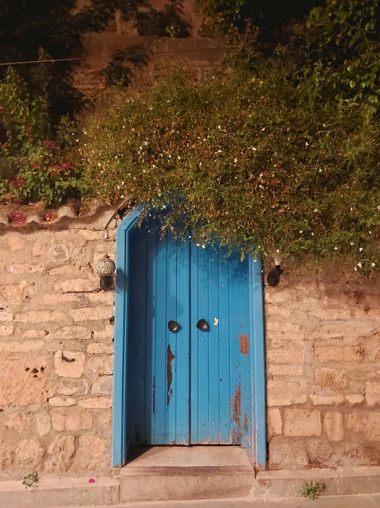 a blue door on a brick wall with vines growing around