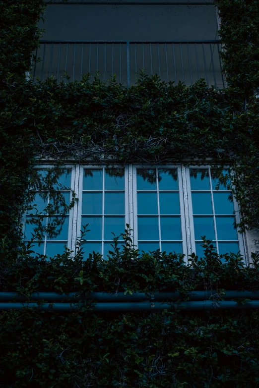 an apartment building covered with windows and ivy