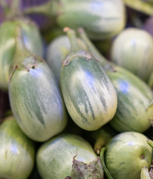 the pod leaves of an exotic fruit on display