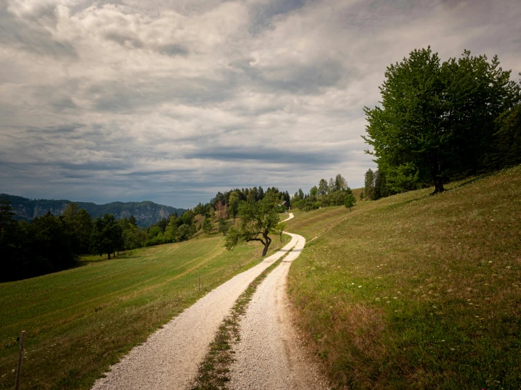 the sky is overcast, but two empty roads are going through the grass