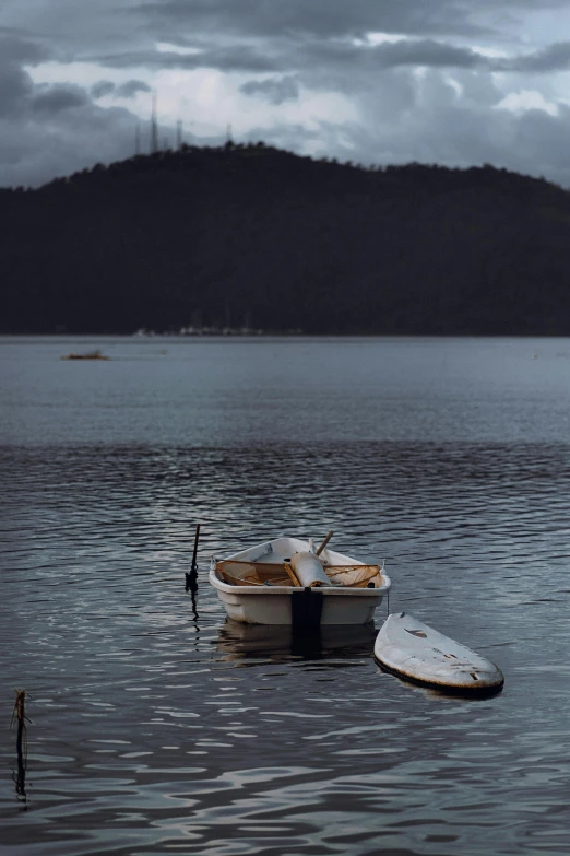 two boats in a large body of water