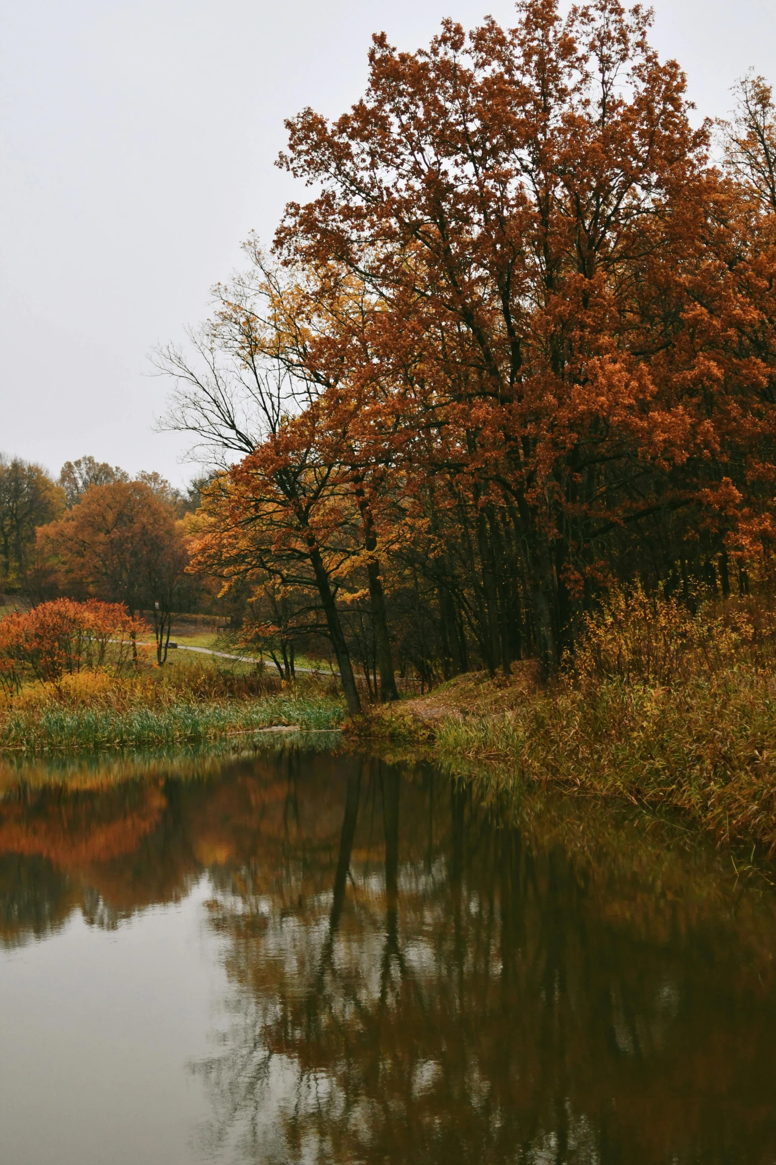 an autumn scene with trees and a small body of water