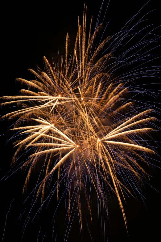 fireworks at night and a black sky