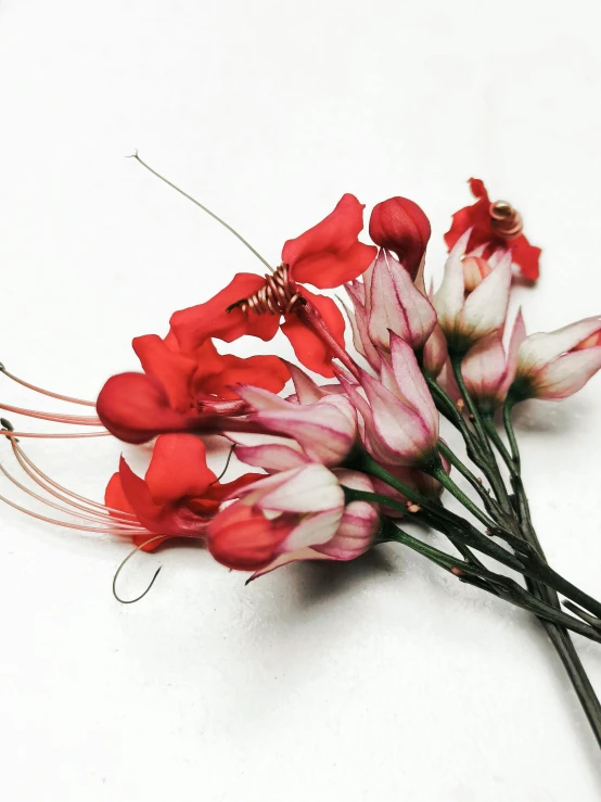 the stems and flowers of a small bouquet of red flowers