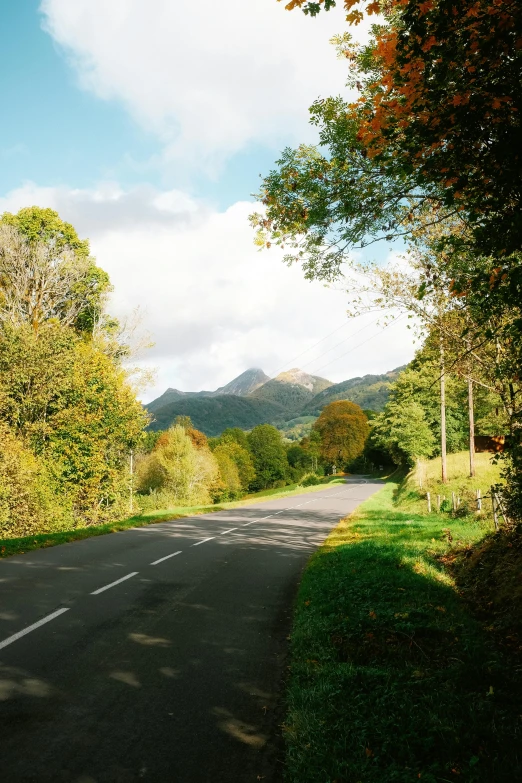 the empty road in front of mountains and trees