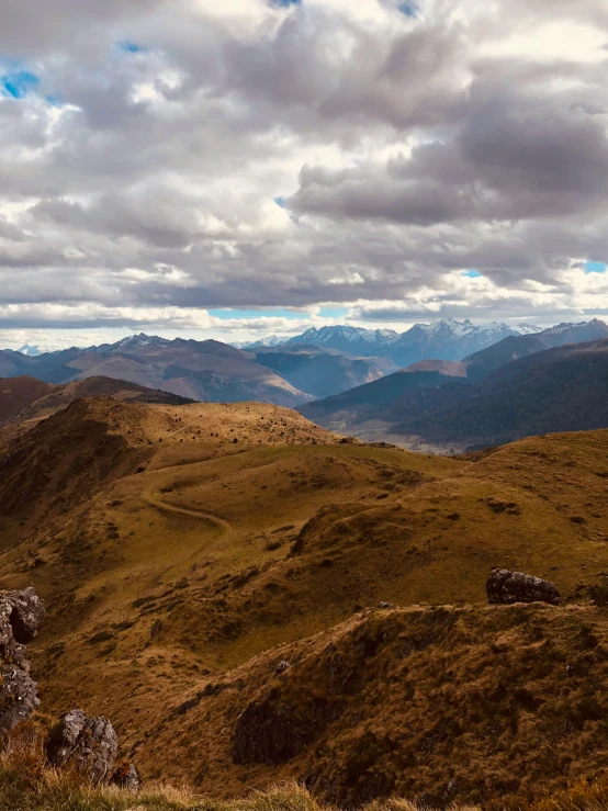 animals standing on the side of a mountain on a cloudy day