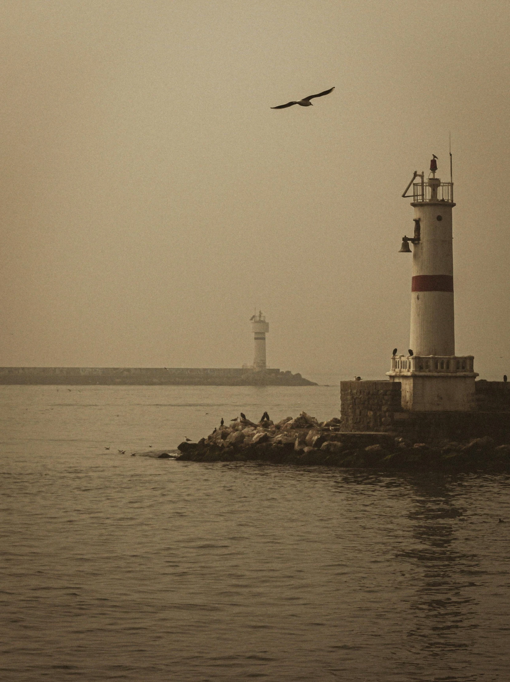 a bird is flying over a light house near the water