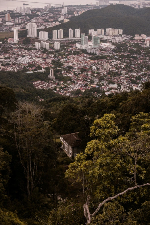 a large city skyline on the outskirts of a forested area