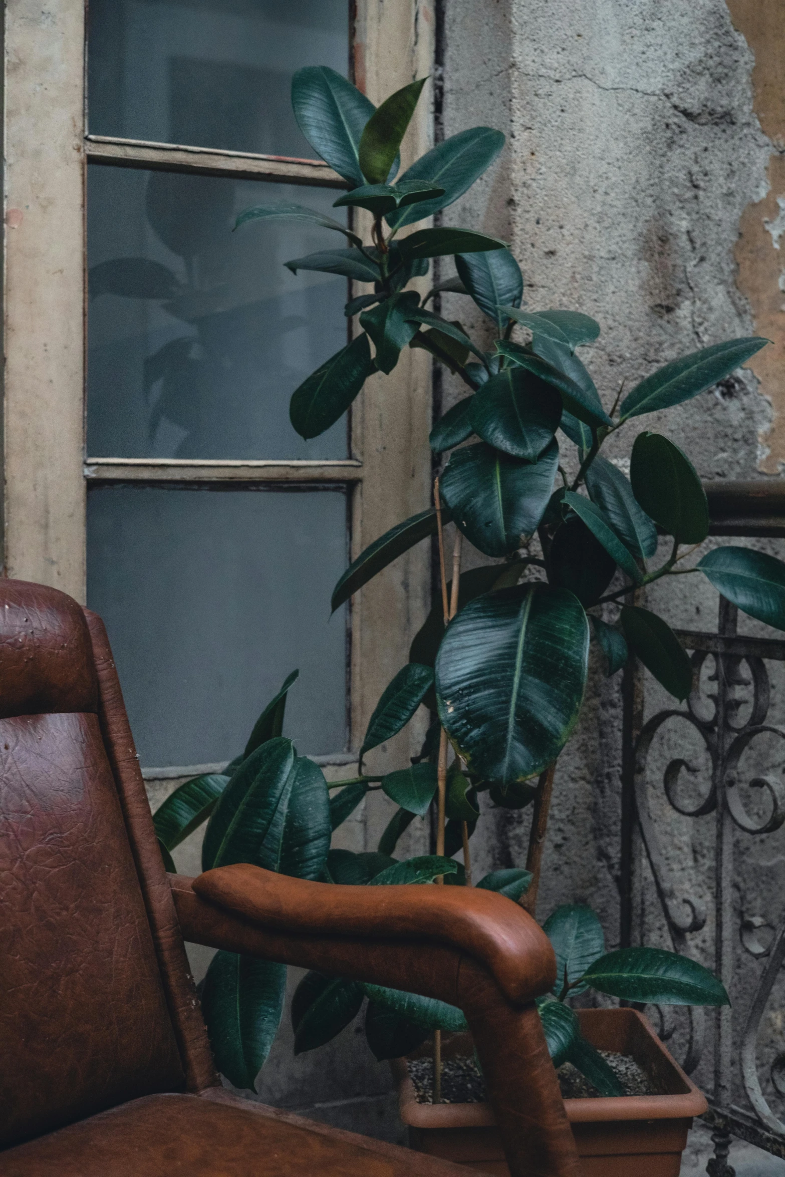 a wooden chair with a plant by the window