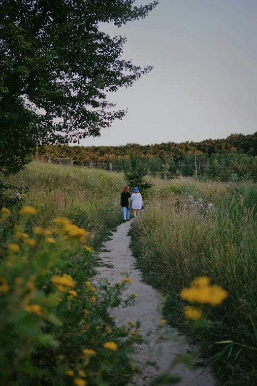 two men walking along side a path through tall grass