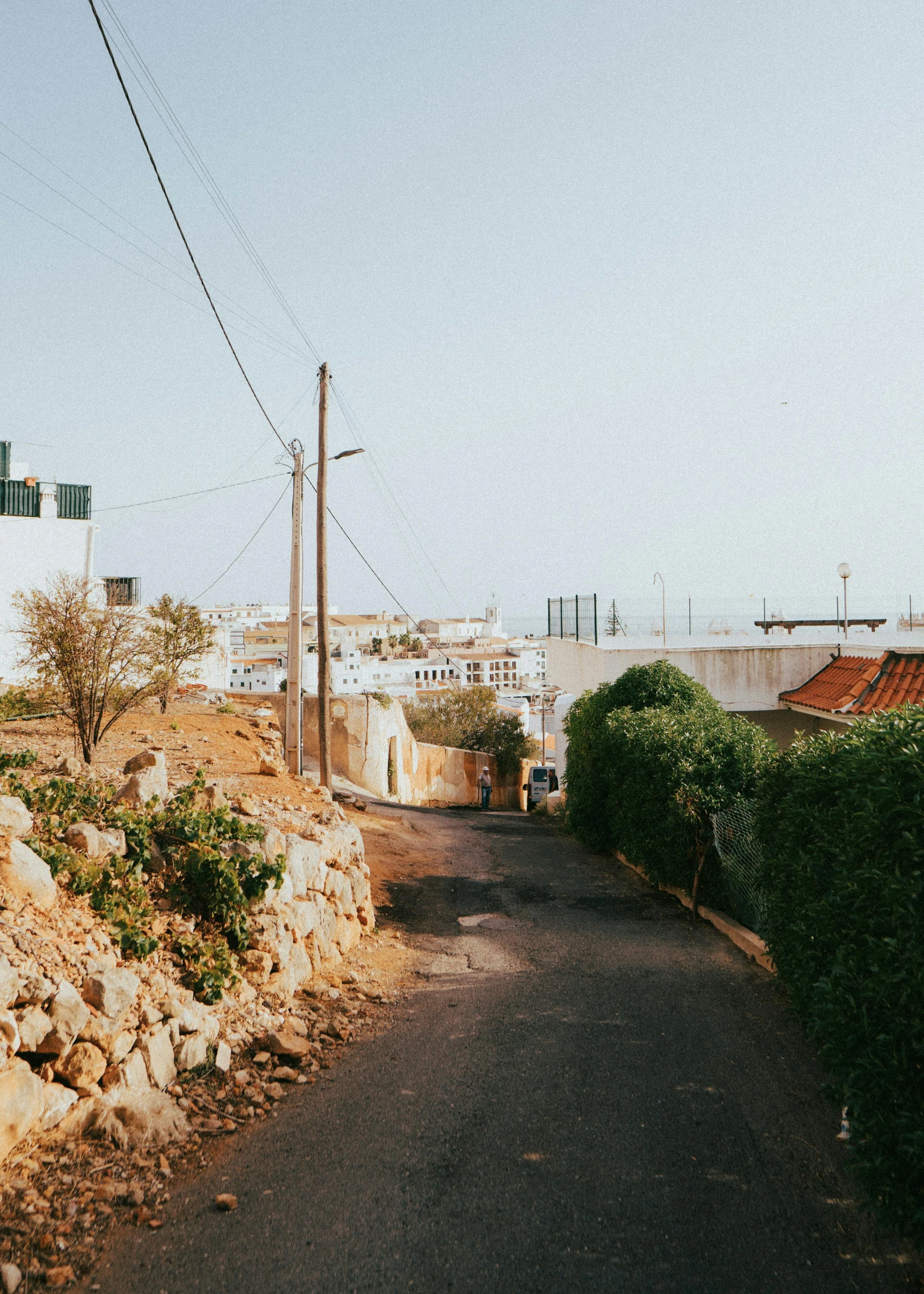 the road is narrow in front of a building and many bushes