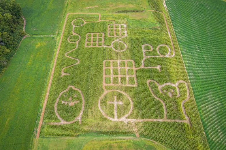 corn maze in the middle of a field with buildings drawn on it