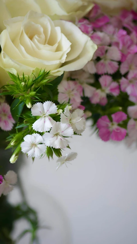 some very pretty flowers in some glass vase