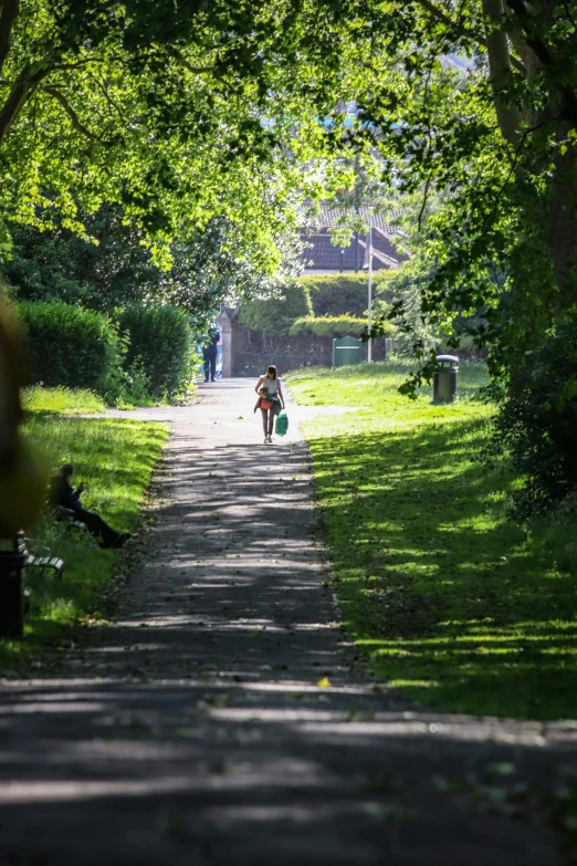 a person riding a bicycle down a tree lined street