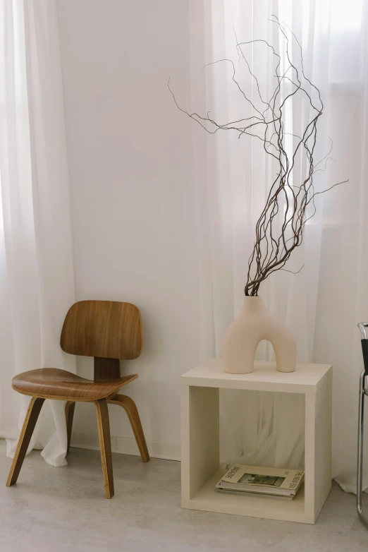 a white room with a plant and a book