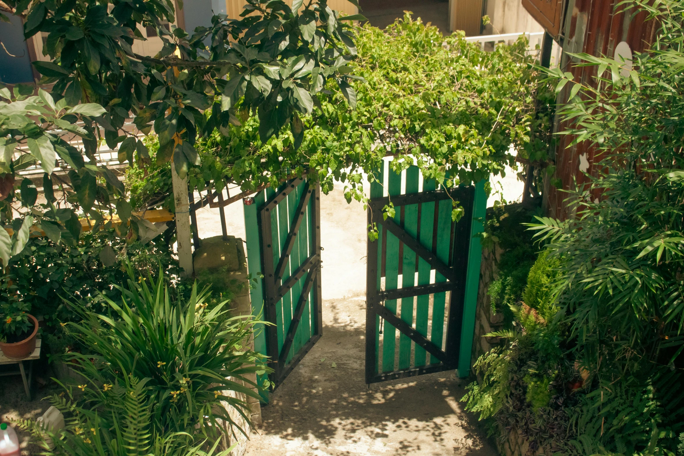 a pair of green wooden doors leading into a small garden