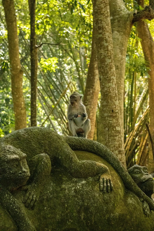 monkeys on top of a statue in the jungle