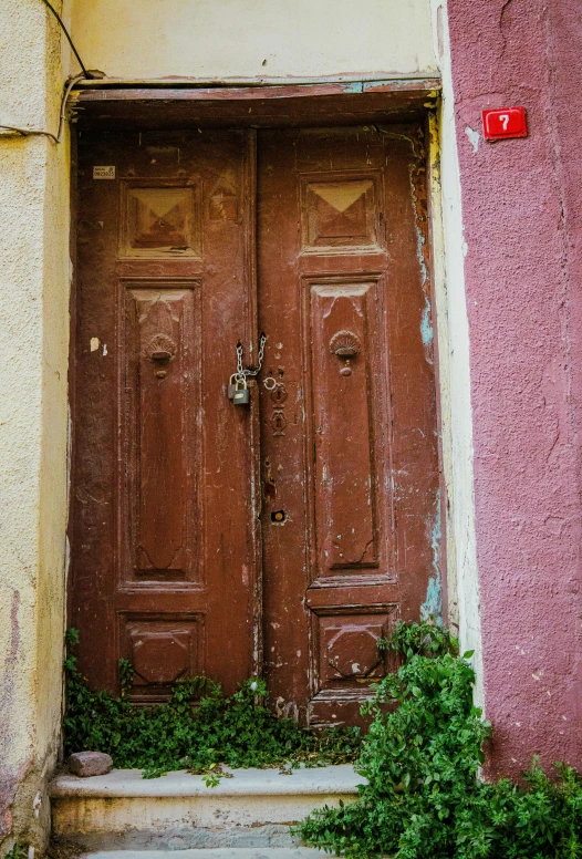 an old door and pink building has a plant growing next to it