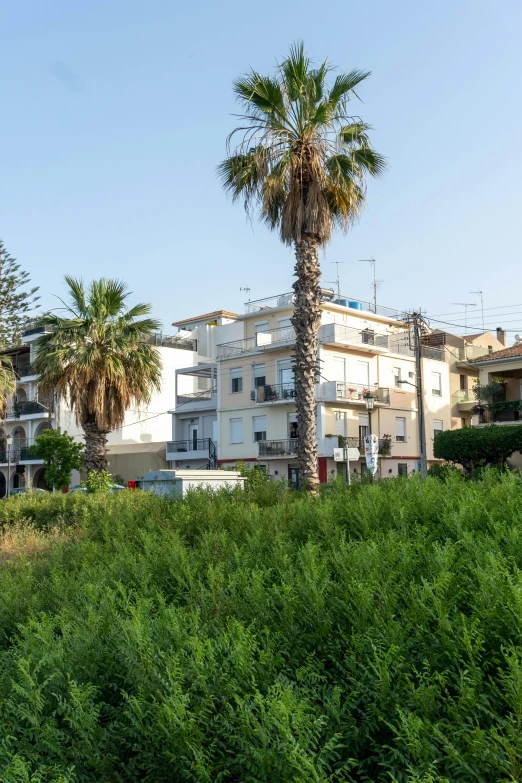 the beach front houses are on two sides