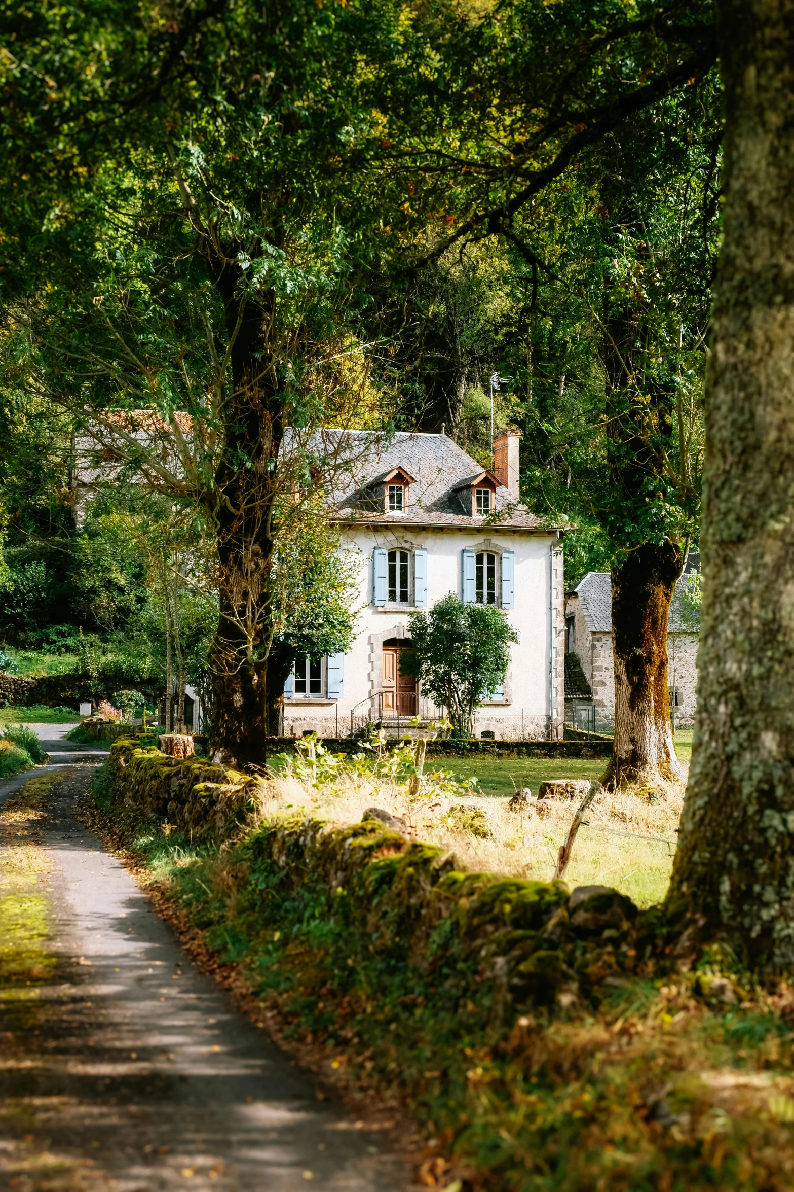 a path leads to a white house in the country side