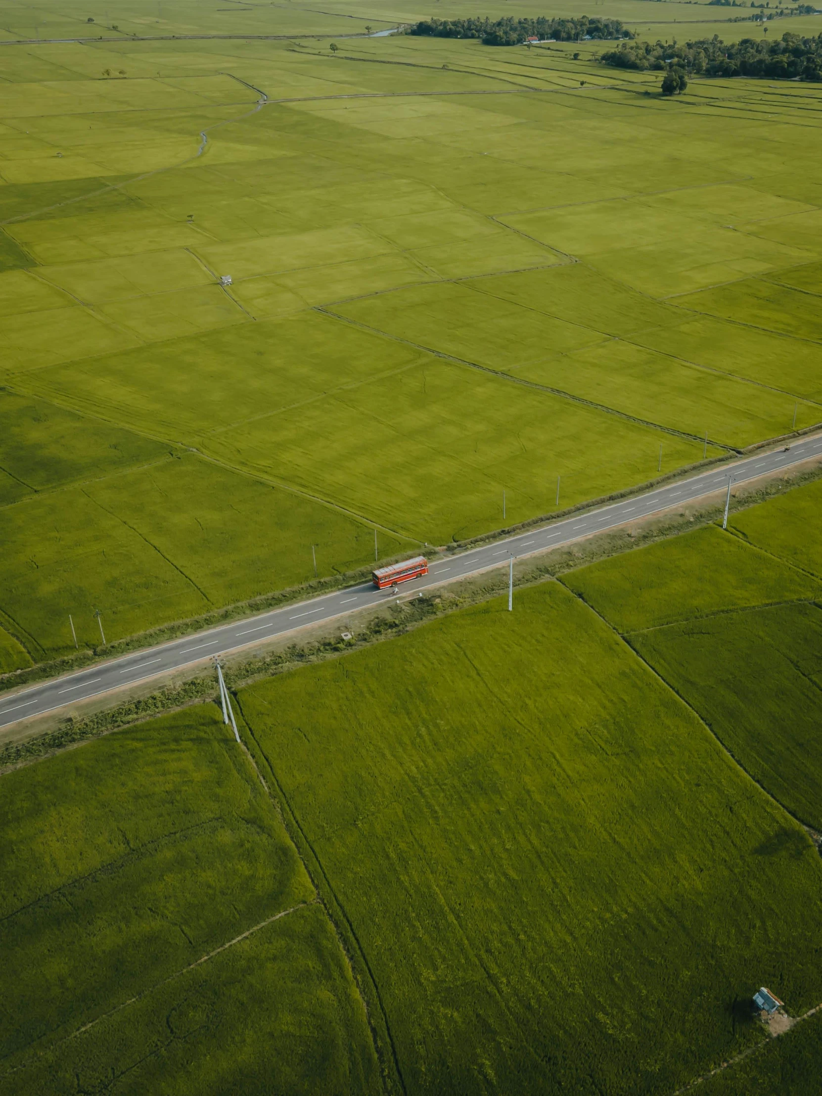 a truck traveling through a lush green field