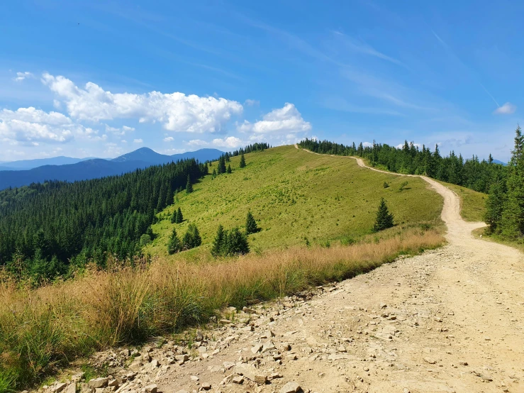 a very winding dirt road with a grassy hill on the other side