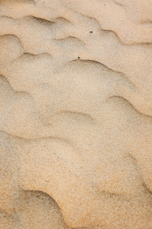 a sand area with some small patches of sand on it