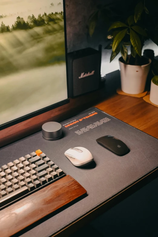 a wooden desk with a computer and wireless mouse